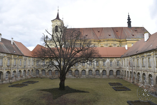 Benediktini v českých zemích