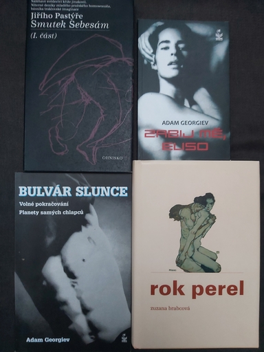 Česká literatura LGBTQIA+ po roce 1989