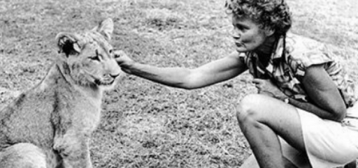 Joy Adamsonová a lvice Elza    Zdroj: wikipedie    https://www.ctinamobilu.cz/osobnosti/joy-adamson-proslavila-lvice-elsa-ubodal-ji-jeji-sluha-56669